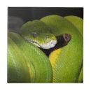 Suche nach schlange fliesen Tier