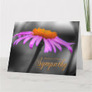 Suche nach coneflower Natur