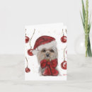 Suche nach yorkie christmas karten Terrier