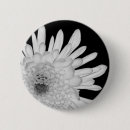 Suche nach chrysantheme buttons Hübsch