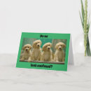 Suche nach puppies karten Goldene retriever