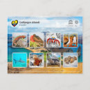 Suche nach galapagos inseln postkarten Riesenschildkröte