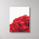 Suche nach rote rose leinwandbilder Makro