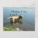 Suche nach see you postkarten Zazzie