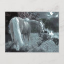 Suche nach mystisches pferd postkarten Pferde