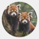 Suche nach pandas aufkleber Baby