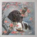 Suche nach zeiger poster Jagdhund