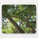 Suche nach ahornbaum mousepads Naturfotografie