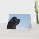 Suche nach riesen karten Gruß