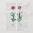 Suche nach nelke poster Antik