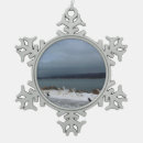 Suche nach sturm ornamente Schnee