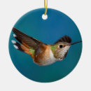 Suche nach kolibrie ornamente Vogel
