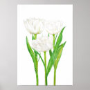 Suche nach weiße tulpen poster Blume
