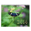 Suche nach flügel kalender Schmetterling
