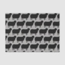 Suche nach schafe Schwarze schafe