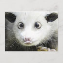 Suche nach heidi postkarten Natur