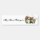 Suche nach cavaliere autoaufkleber Cavalier king charles spaniel