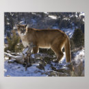 Suche nach habitat poster Schnee