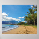 Suche nach hawaii poster Palme