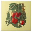 Suche nach vintage erdbeeren fliesen Illustration