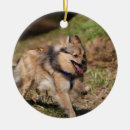 Suche nach geschirre ornamente Bob und pam langrish