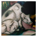 Suche nach germanisch untersetzer Franz