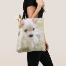 Suche nach einzelteile accessoires Welpe