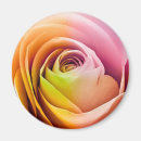 Suche nach blumenblätter magnete Blüte
