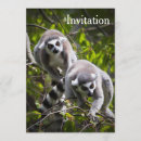 Suche nach lemur Wildtier