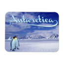 Suche nach die antarktis magnete Horizontal