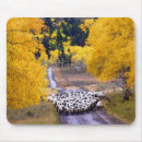 Suche nach amerikanische scheune mousepads Ranch