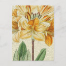 Suche nach antike malerei postkarten Blume