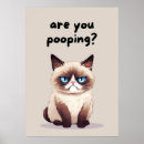 Suche nach funny cat poster Witz