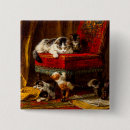 Suche nach stuhl buttons Katze