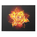 Suche nach flamme notizblock Phoenix