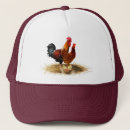 Suche nach keine eier kappen Küken