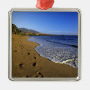 Suche nach hawaii strand ornamente Ozean