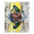 Suche nach ducky poster Tiere