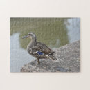 Suche nach enten puzzle Natur