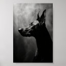 Suche nach dobermann pinscher poster Haustier