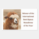 Suche nach alpaka aufkleber Lama