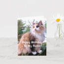 Suche nach bunte katze karten Für sie