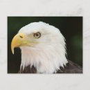 Suche nach kahl postkarten Foto