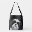 Suche nach shih tzu taschen Tiere
