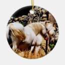 Suche nach ponys ornamente Tiere