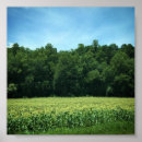 Suche nach cornfield poster Kornfeld