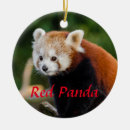 Suche nach roter panda ornamente Niedlich
