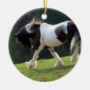 Suche nach sinti ornamente Pony
