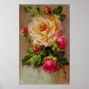 Suche nach rosenmuster poster Rosa