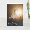Suche nach schneeglöckchen karten Blume